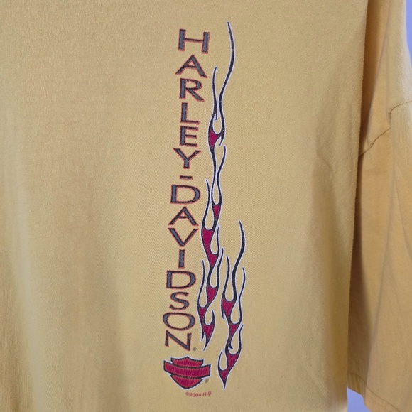 2004 Harley Davidson T-Shirt w/flames - *Myrtle Beach, SC* (Back side) - Picture 2 of 11